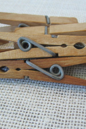 Vintage Spring Clothespins